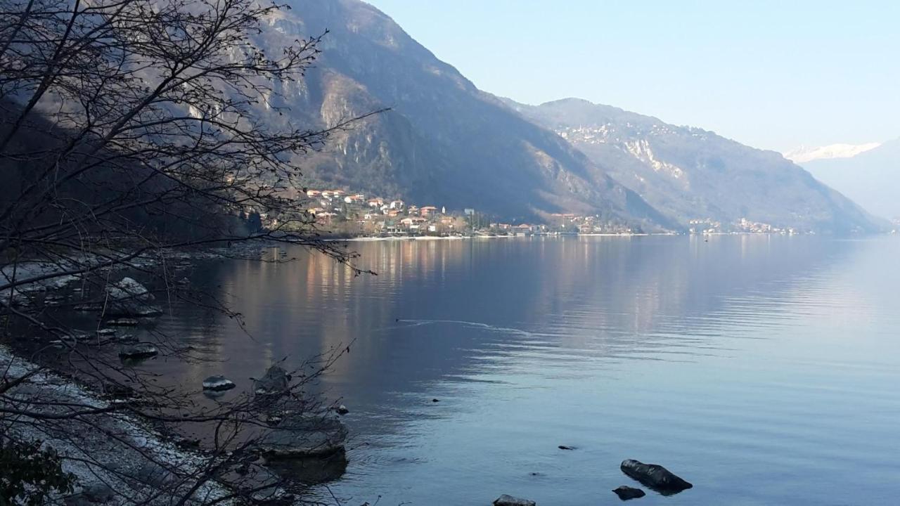 New Eleven Apartment On Como Lake Oliveto Lario Exteriör bild